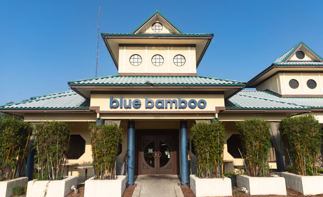 operation-success-blue-bamboo-hero